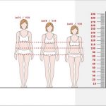 Evolution du corps en fonction de la stature